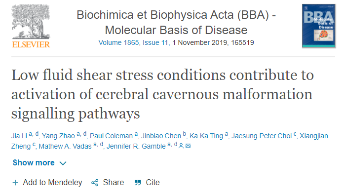 低流體剪切力條件有助于激活大腦海綿狀血管畸形信號通路