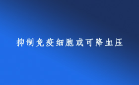 抑制免疫細(xì)胞或可降血壓
