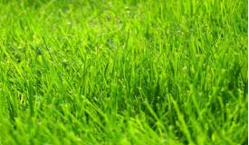 什么叫細(xì)胞流體剪切力？